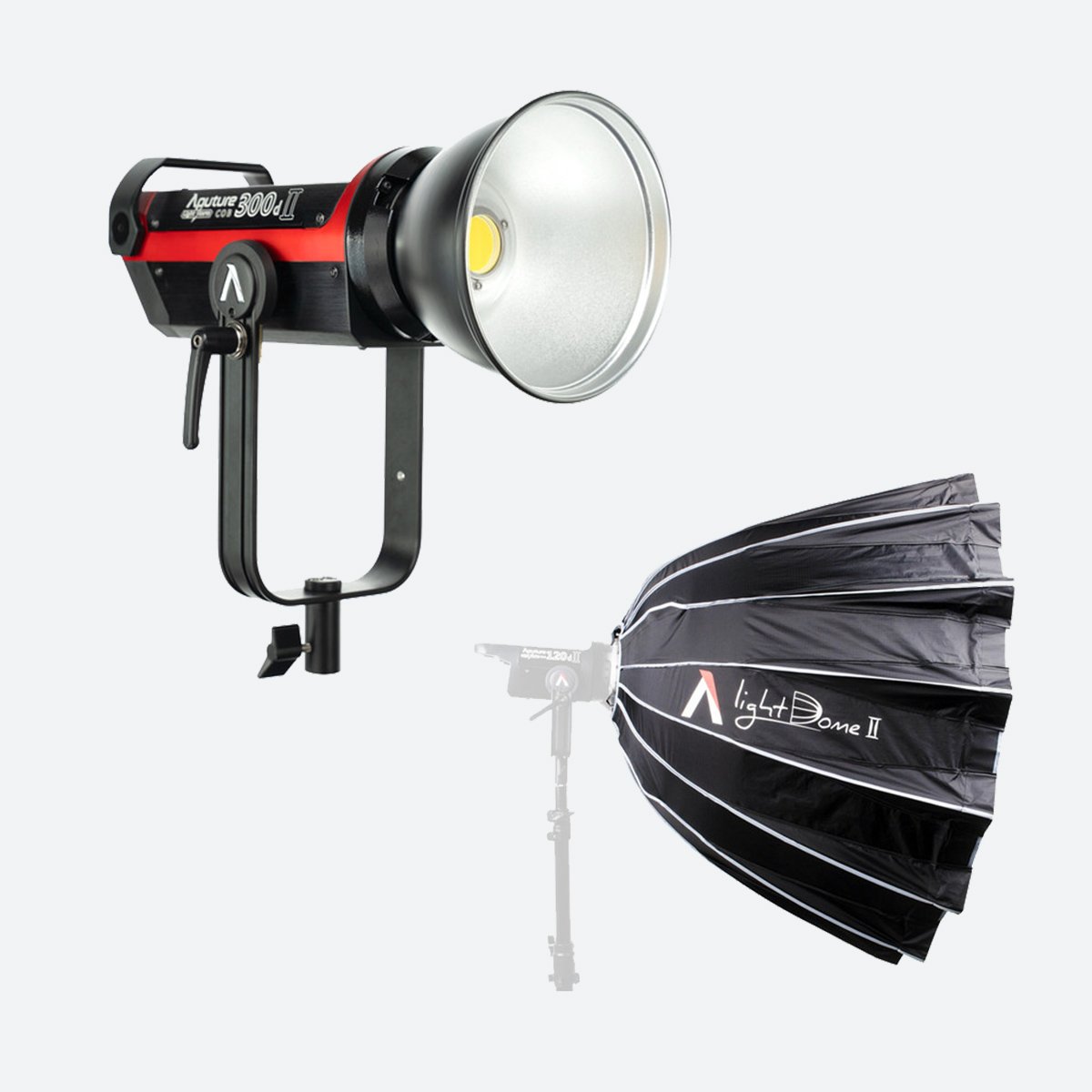 Aputure LS C300D MKII Kit (V-Mount)